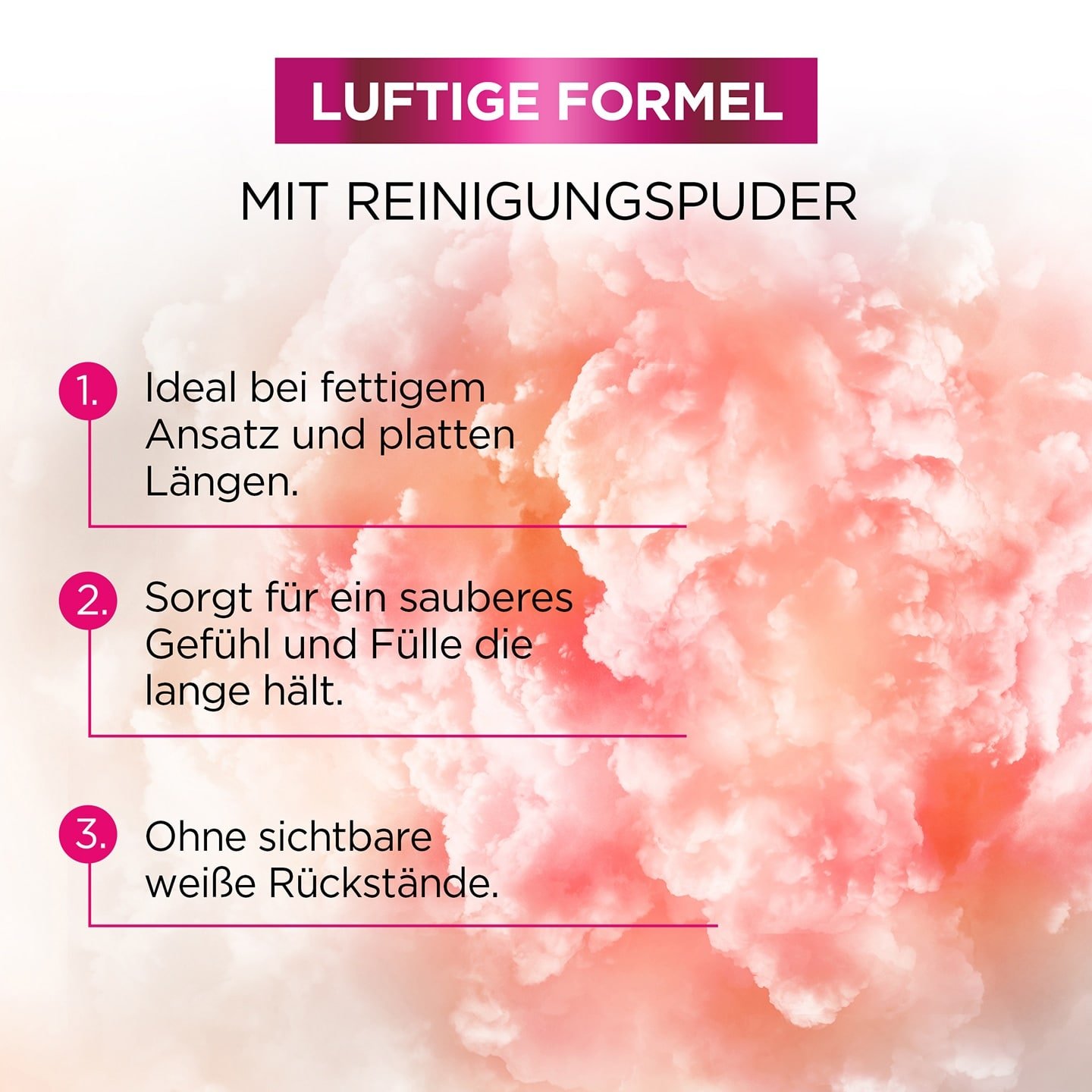Formulierung des Elvital Dream Lenght Air Volume Trockenshampoos